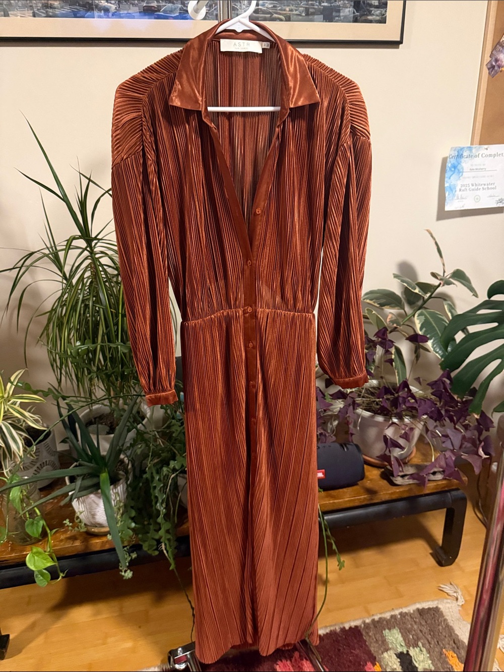 Astr Copper Pleated Long-Sleeve Maxi Dress